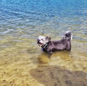 Meet your Posher, Audra